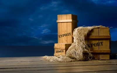 How To Dispose Of Your Eco-Friendly Moving Crates