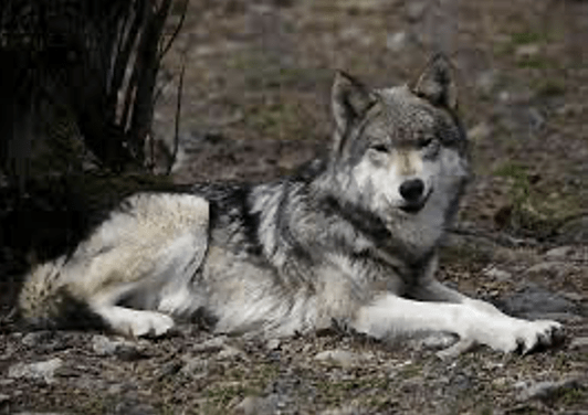 Let’s Explore Together!